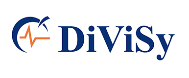 DiViSy Group. Интегральные решения